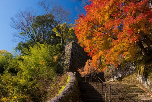 竹田岡城跡紅葉