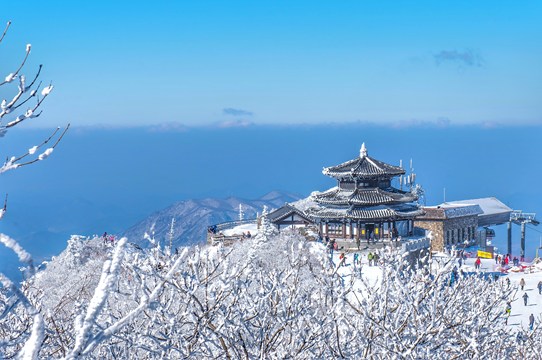 德裕山香積峰霧淞特寫