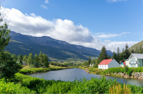 2026年馬年生肖運程，屬兔者郵輪旅遊推薦