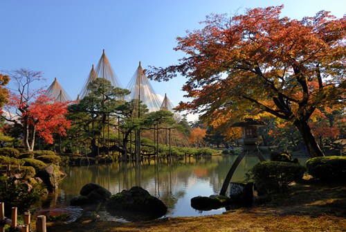 金澤兼六園紅葉