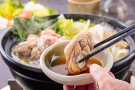 福岡博多水炊雞肉鍋膠原白湯