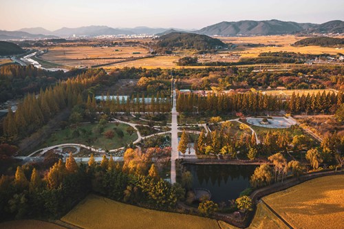 慶州慶北千年森林庭園秋季楓葉與水杉林